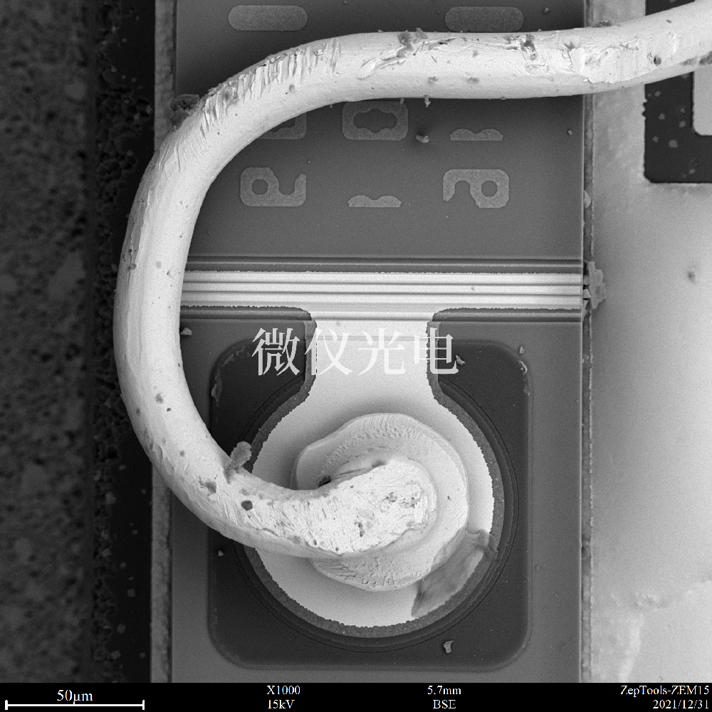 掃描電鏡有沒有什么局限性？