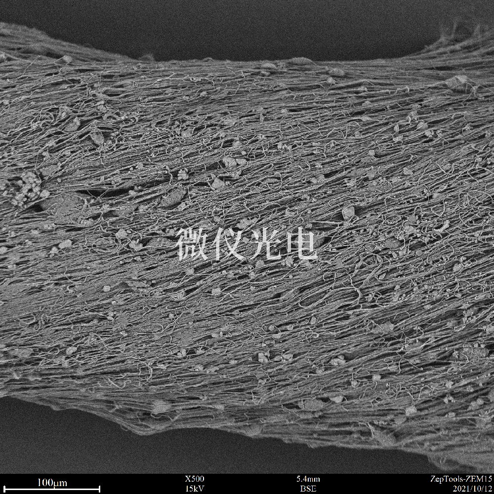 掃描電鏡應(yīng)用領(lǐng)域介紹和使用掃描電鏡時(shí)圖像質(zhì)量差改善的方法有哪些？