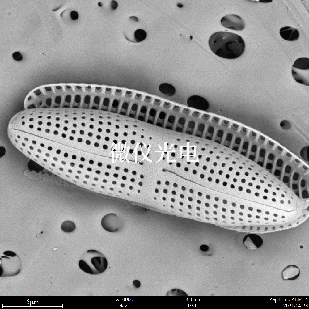 掃描電子顯微鏡的類型有這些你之前了解過(guò)嗎？
